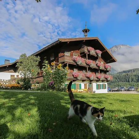 Hainzbauer Leogang